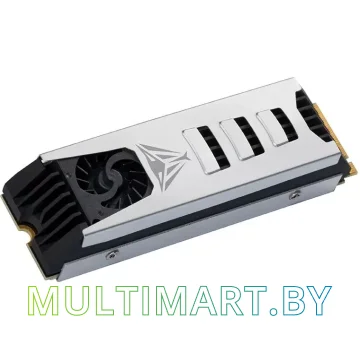 SSD диск Patriot Viper PV553 1TB (PV553P1TBM28H) картинка 6